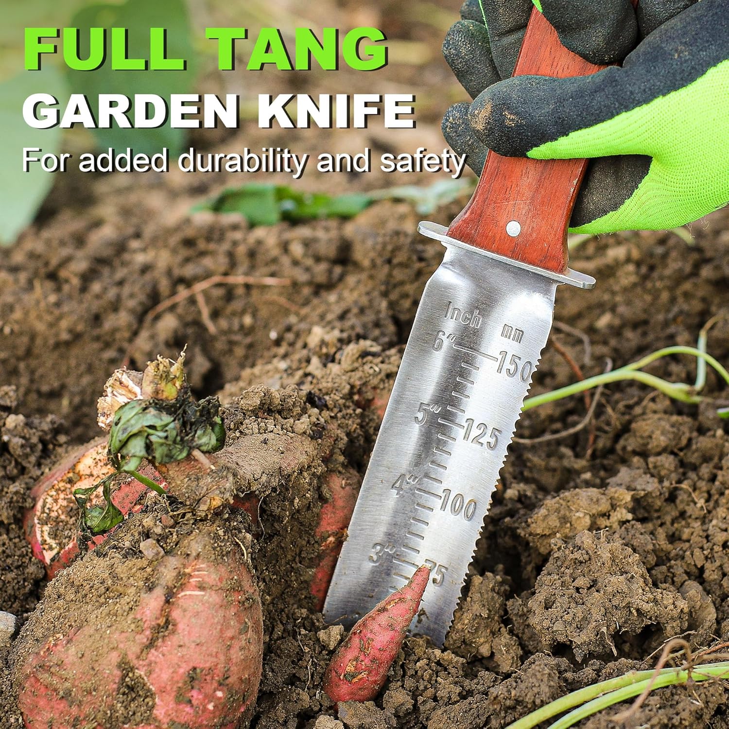 How to Start a Backyard Garden Without Losing Your Mind